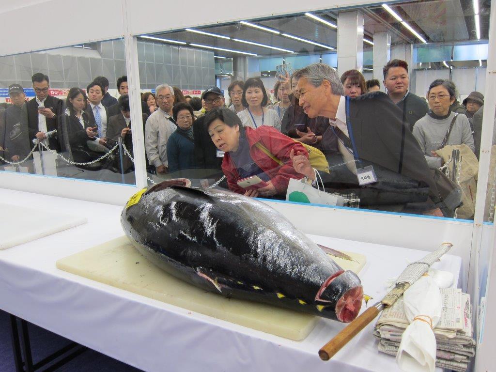 展示会画像